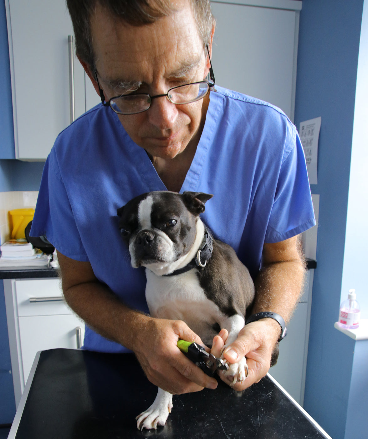 Medium - Large Dog Nail Clippers