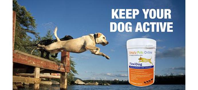 FlexiK9 Veterinary Strength Dog Joint Supplement