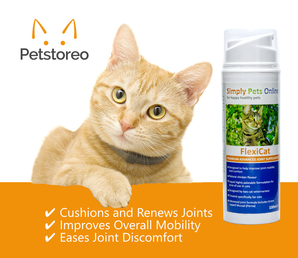 Cat Joint Supplement - Natural Antioxidants, Promotes Mobility in Cats