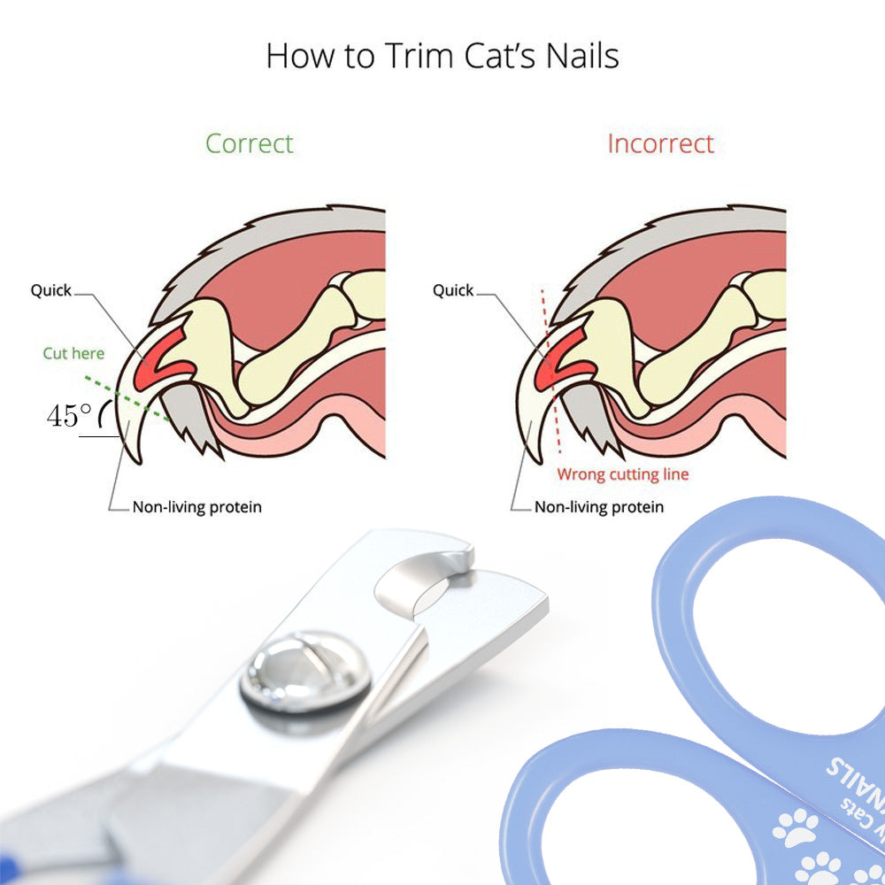 Professional Cat Nail Clippers | Kittynails